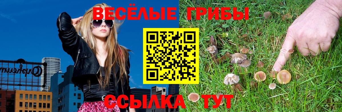 Галлюциногенные грибы мицелий Стерлитамак