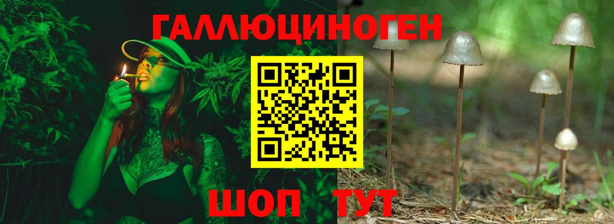 Стерлитамак  Галлюциногенные грибы Cubensis  Вход с VPN  Галлюциногенные грибы GOLDEN TEACHER 